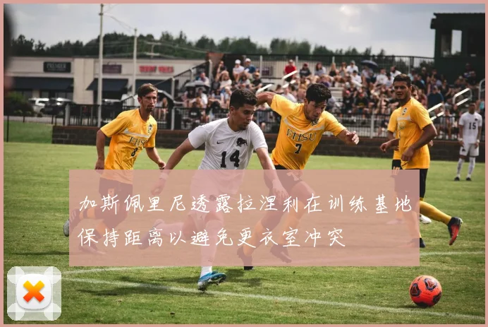 加斯佩里尼透露拉涅利在训练基地保持距离以避免更衣室冲突