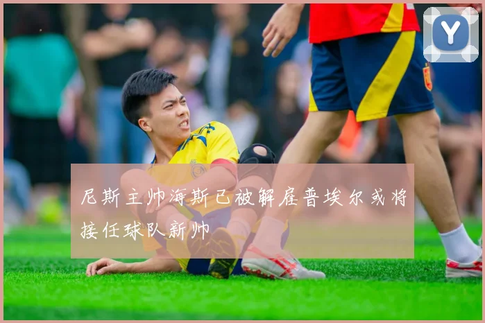 尼斯主帅海斯已被解雇普埃尔或将接任球队新帅